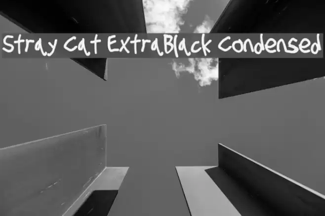 Stray Cat ExtraBlack Condensed  examples