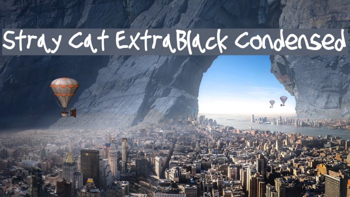Stray Cat ExtraBlack Condensed Example 3