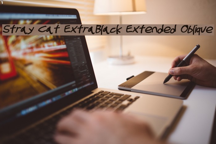 Stray Cat ExtraBlack Extended Oblique Font examples