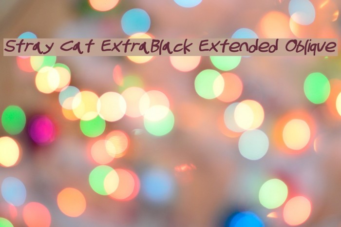 Stray Cat ExtraBlack Extended Oblique Font examples