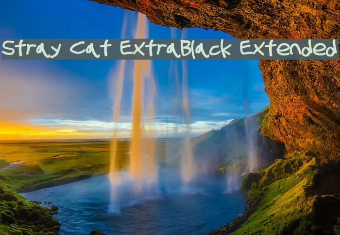 Stray Cat ExtraBlack Extended Example 1