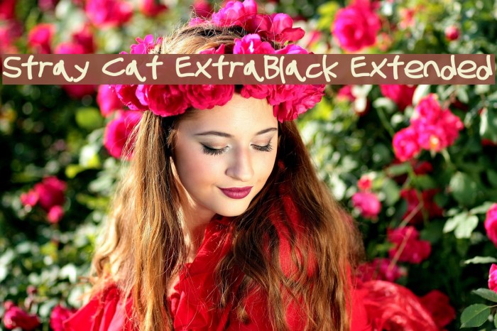 Stray Cat ExtraBlack Extended Example 2