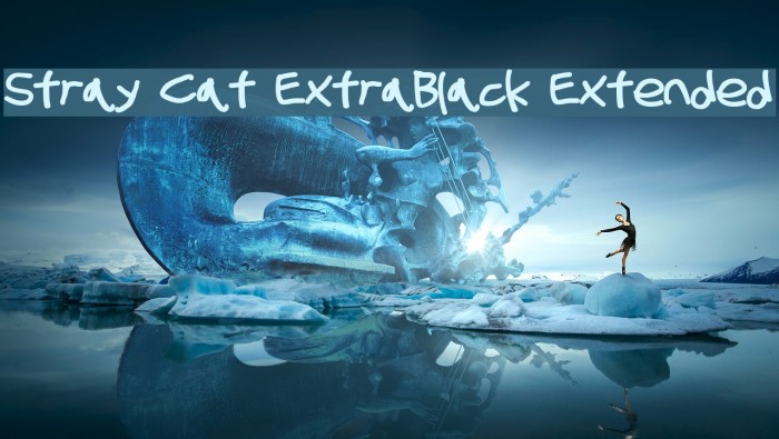 Stray Cat ExtraBlack Extended Example 3