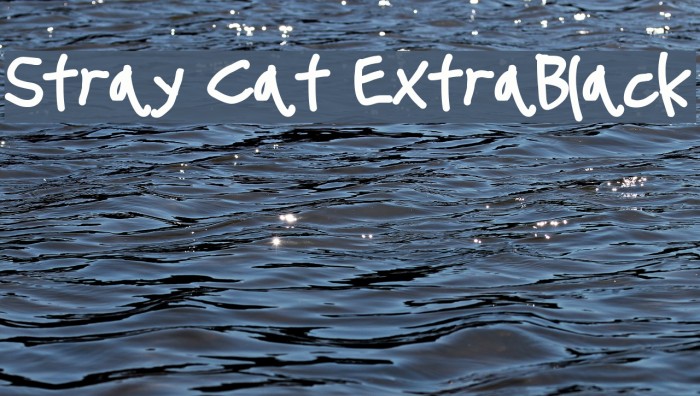 Stray Cat ExtraBlack Font examples