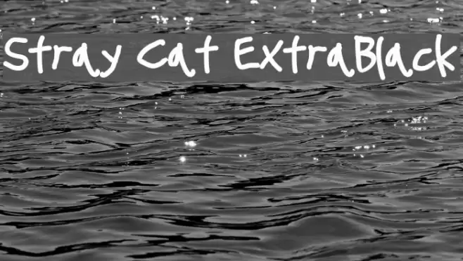 Stray Cat ExtraBlack examples