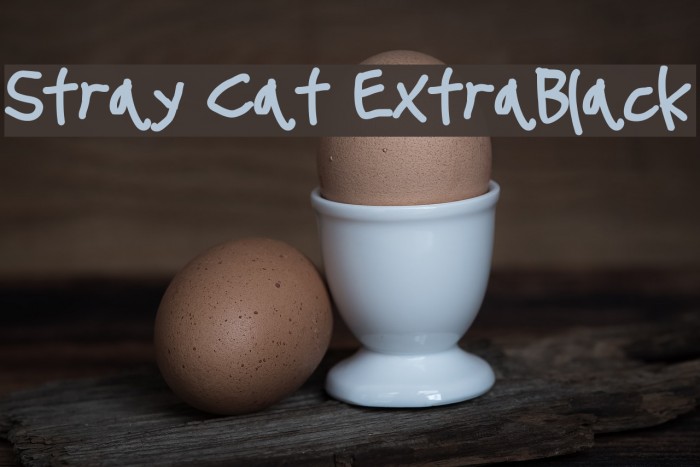 Stray Cat ExtraBlack Font examples
