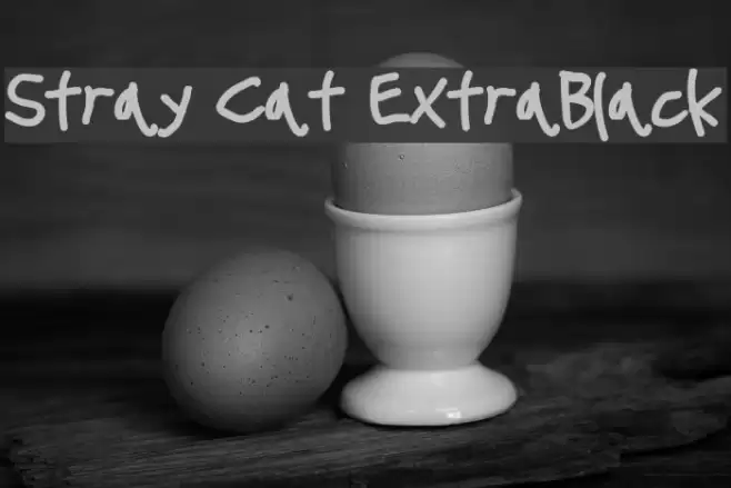Stray Cat ExtraBlack examples