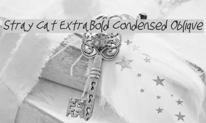 Stray Cat ExtraBold Condensed Oblique Font examples