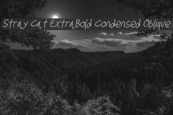 Stray Cat ExtraBold Condensed Oblique Font examples