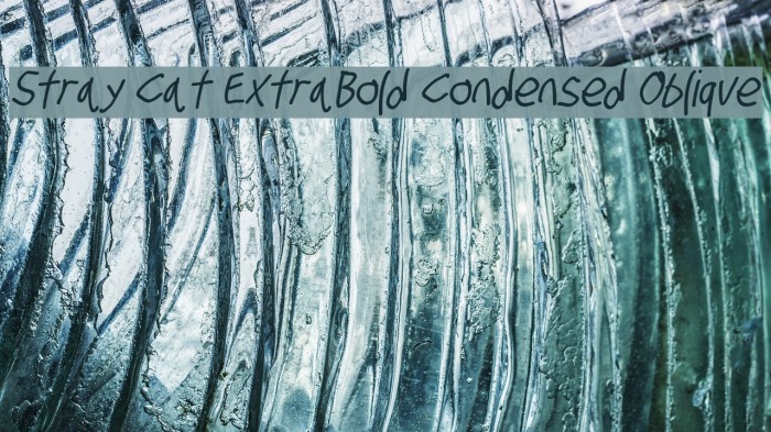 Stray Cat ExtraBold Condensed Oblique Font examples
