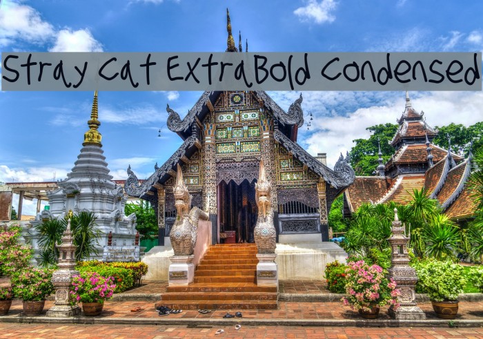 Stray Cat ExtraBold Condensed Font examples