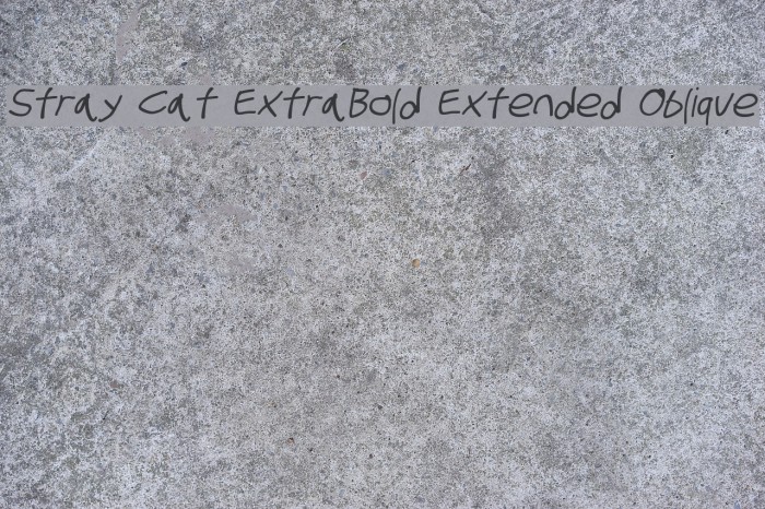 Stray Cat ExtraBold Extended Oblique Font examples