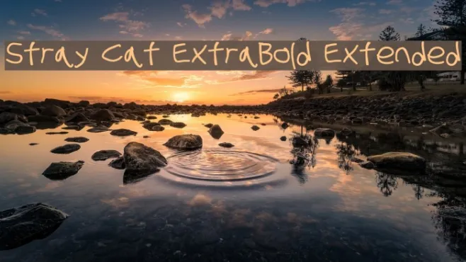Stray Cat ExtraBold Extended Example 1
