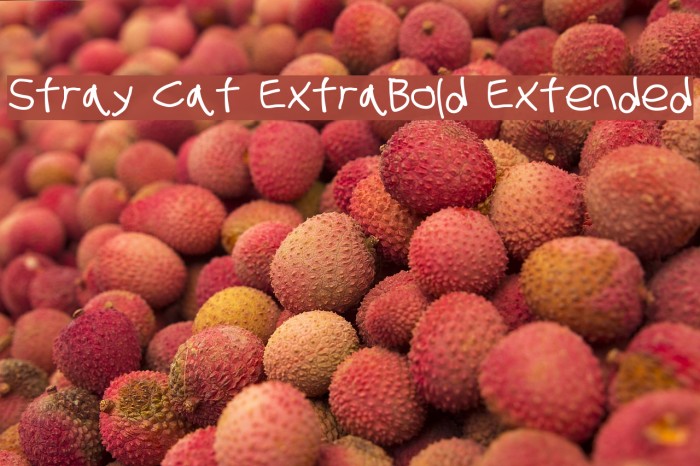 Stray Cat ExtraBold Extended Font examples