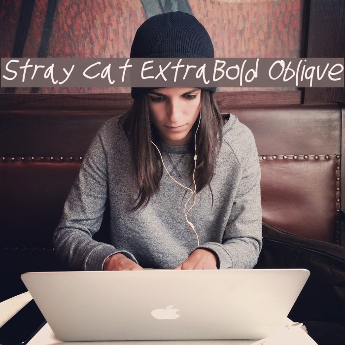 Stray Cat ExtraBold Oblique Font examples