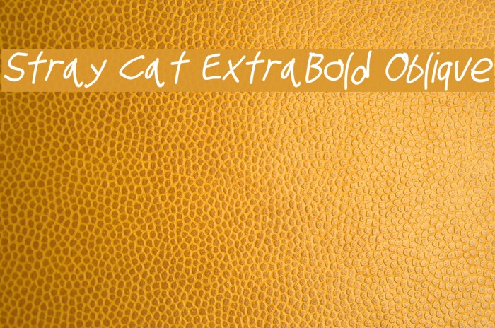 Stray Cat ExtraBold Oblique Font examples