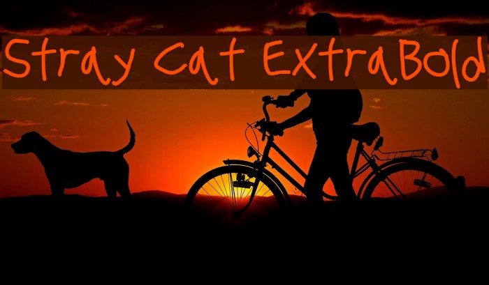 Stray Cat ExtraBold Font examples