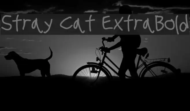 Stray Cat ExtraBold examples