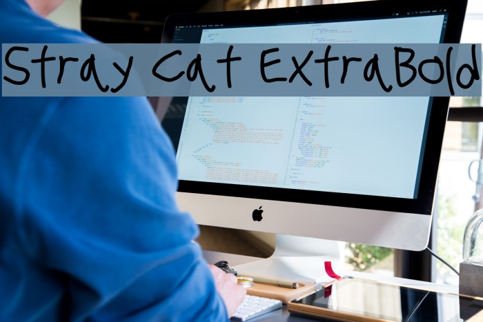 Stray Cat ExtraBold Font examples