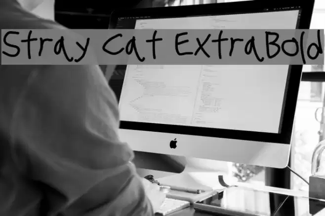 Stray Cat ExtraBold examples