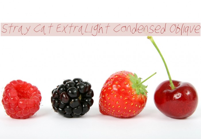 Stray Cat ExtraLight Condensed Oblique Font examples