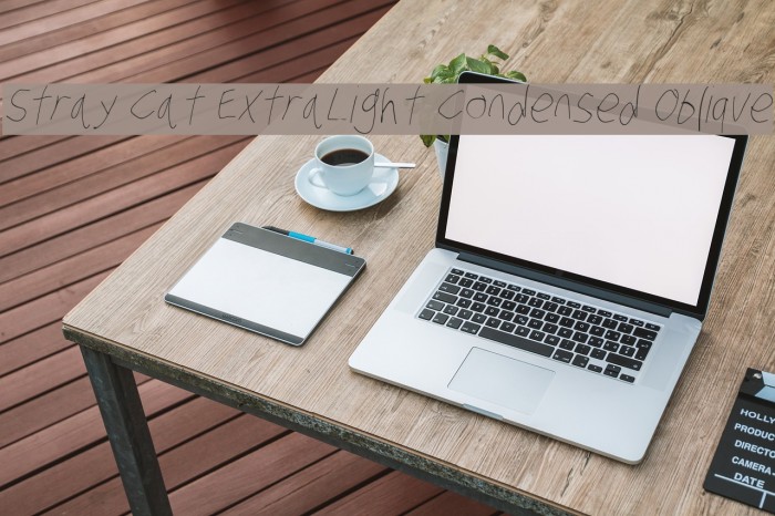 Stray Cat ExtraLight Condensed Oblique Font examples
