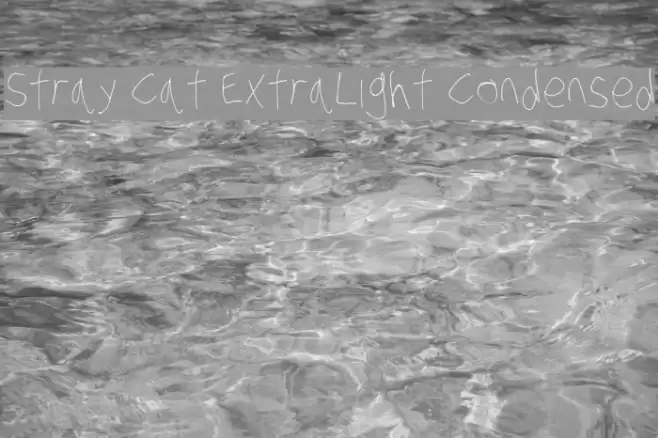 Stray Cat ExtraLight Condensed Font examples