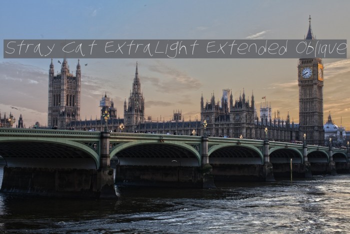 Stray Cat ExtraLight Extended Oblique Font examples