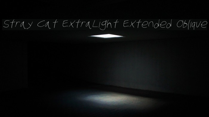Stray Cat ExtraLight Extended Oblique Font examples