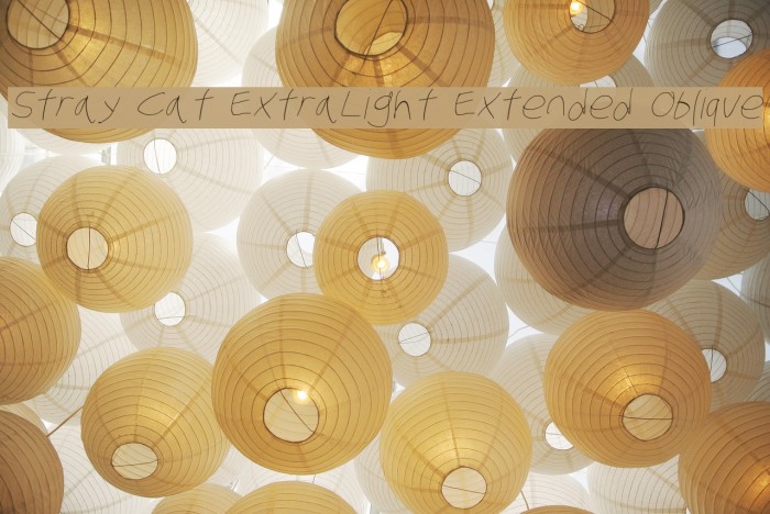 Stray Cat ExtraLight Extended Oblique Font examples