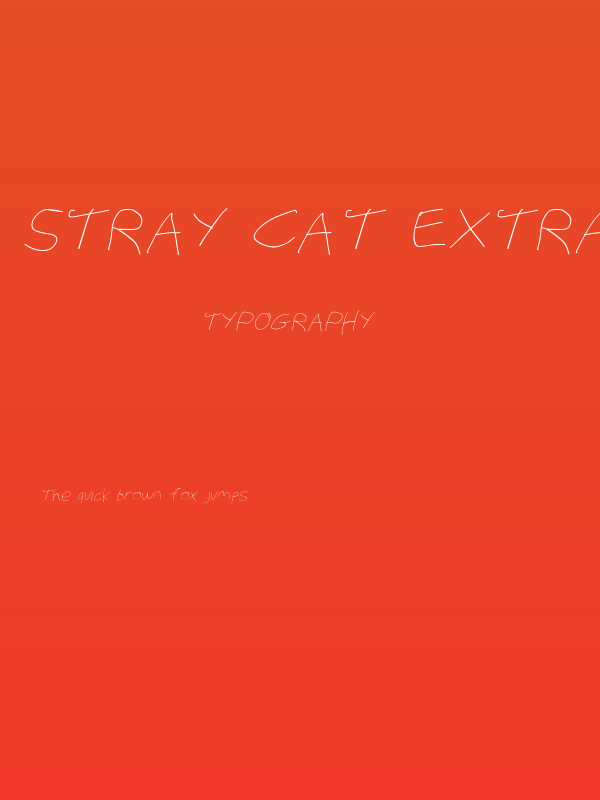 Stray Cat ExtraLight Extended Oblique Poster