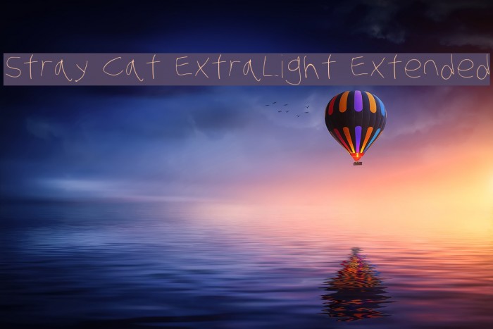 Stray Cat ExtraLight Extended Font examples