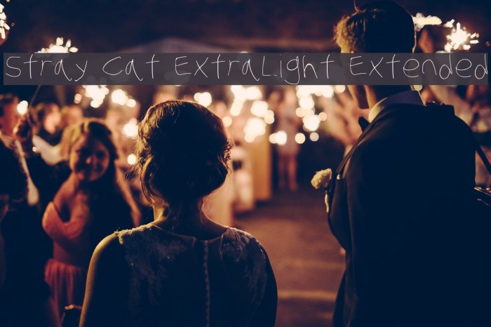 Stray Cat ExtraLight Extended Font examples