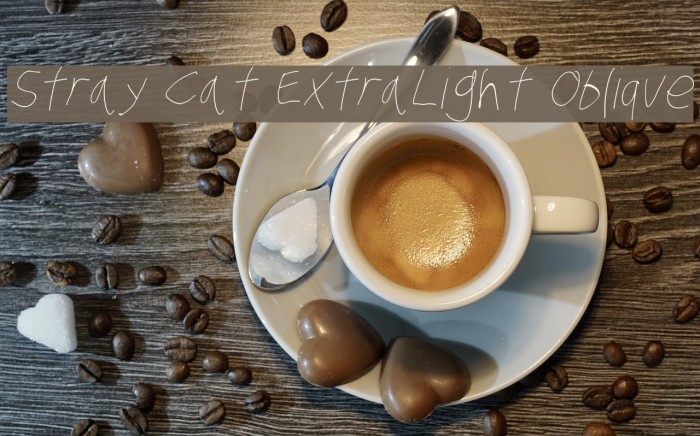 Stray Cat ExtraLight Oblique Font examples