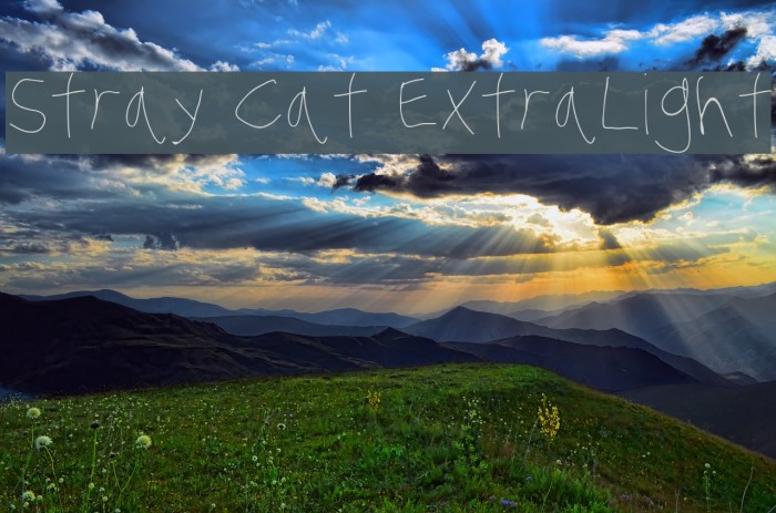 Stray Cat ExtraLight Font examples