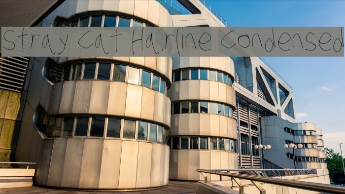 Stray Cat Hairline Condensed Example 1