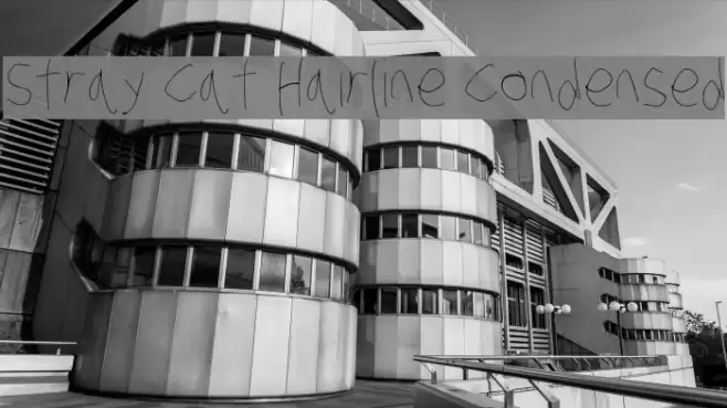 Stray Cat Hairline Condensed Font examples