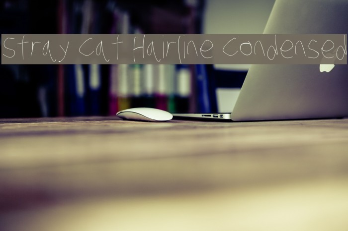 Stray Cat Hairline Condensed Example 2