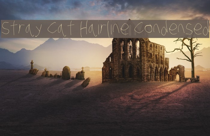 Stray Cat Hairline Condensed Example 3