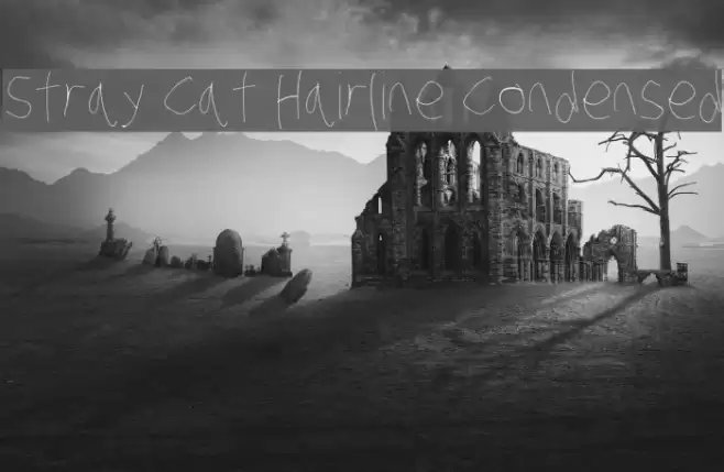 Stray Cat Hairline Condensed Font examples