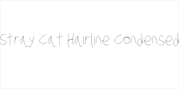 Stray Cat Hairline Condensed Logo