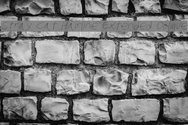 Stray Cat Hairline Extended Oblique Font examples