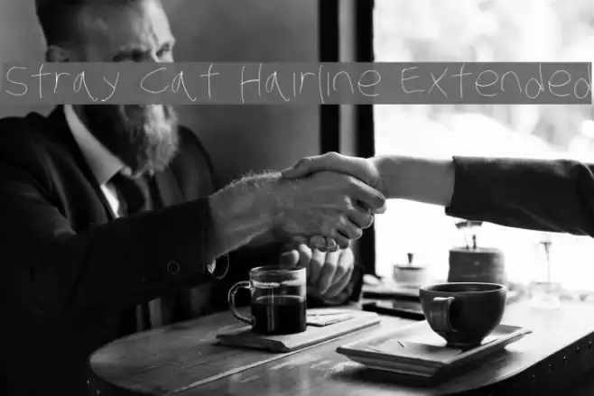 Stray Cat Hairline Extended Font examples