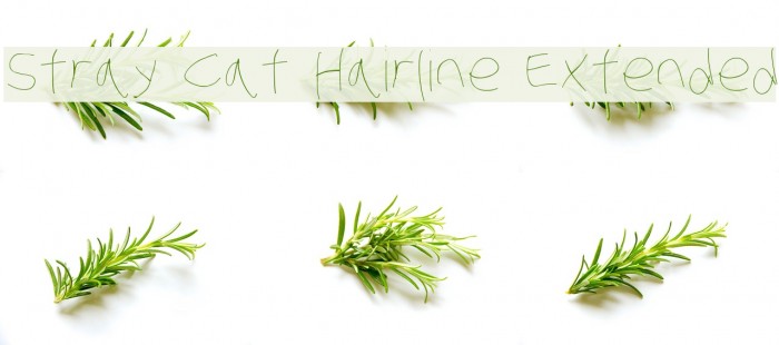 Stray Cat Hairline Extended Font examples