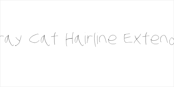 Stray Cat Hairline Extended Logo