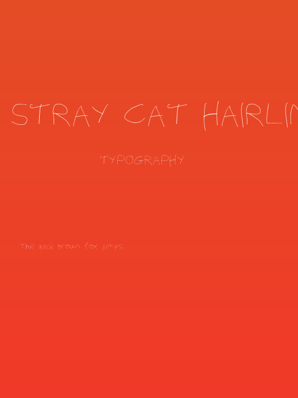 Stray Cat Hairline Extended Poster