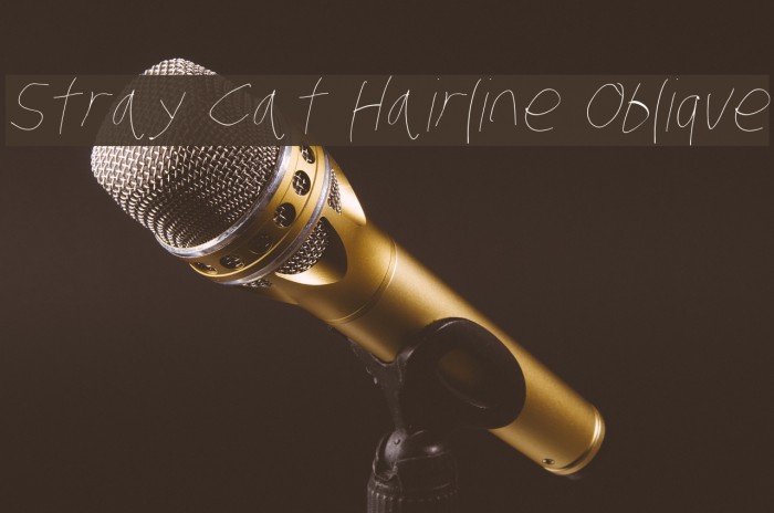 Stray Cat Hairline Oblique Font examples