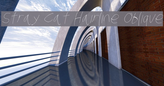 Stray Cat Hairline Oblique Font examples