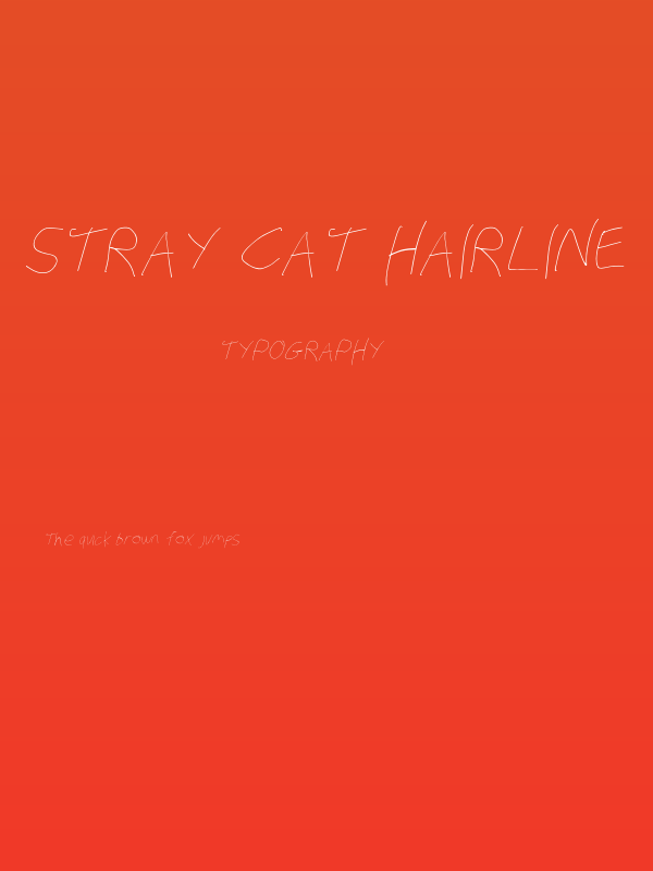 Stray Cat Hairline Oblique Poster