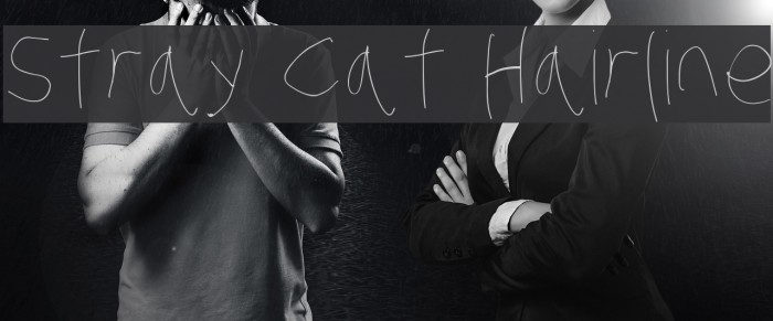 Stray Cat Hairline Example 1